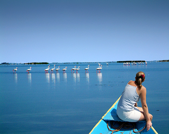 Chilika Lake Satapada